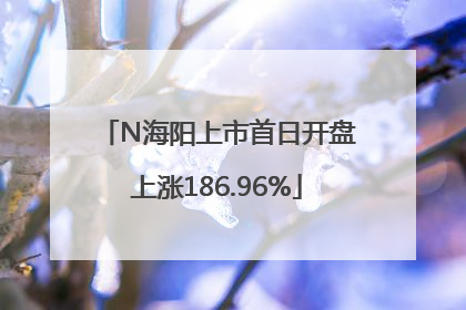 N海阳上市首日开盘上涨186.96%