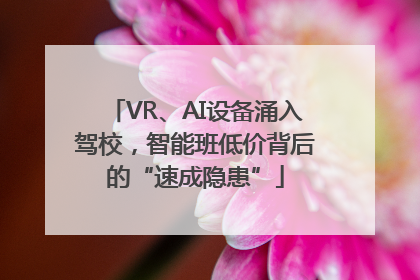 VR、AI设备涌入驾校，智能班低价背后的“速成隐患”
